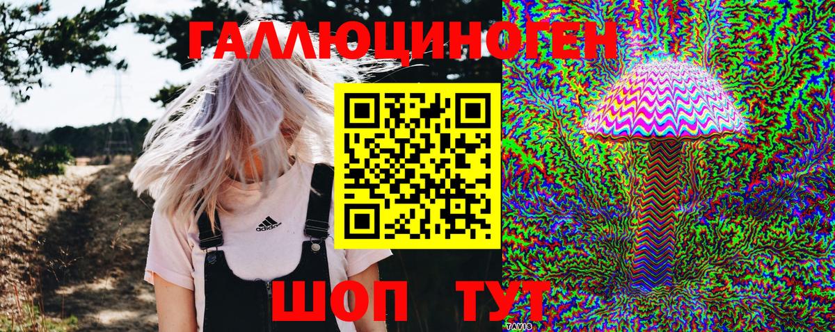 Псилоцибиновые грибы Psilocybe  Вход с VPN  Кириши  Галлюциногенные грибы мухоморы 
